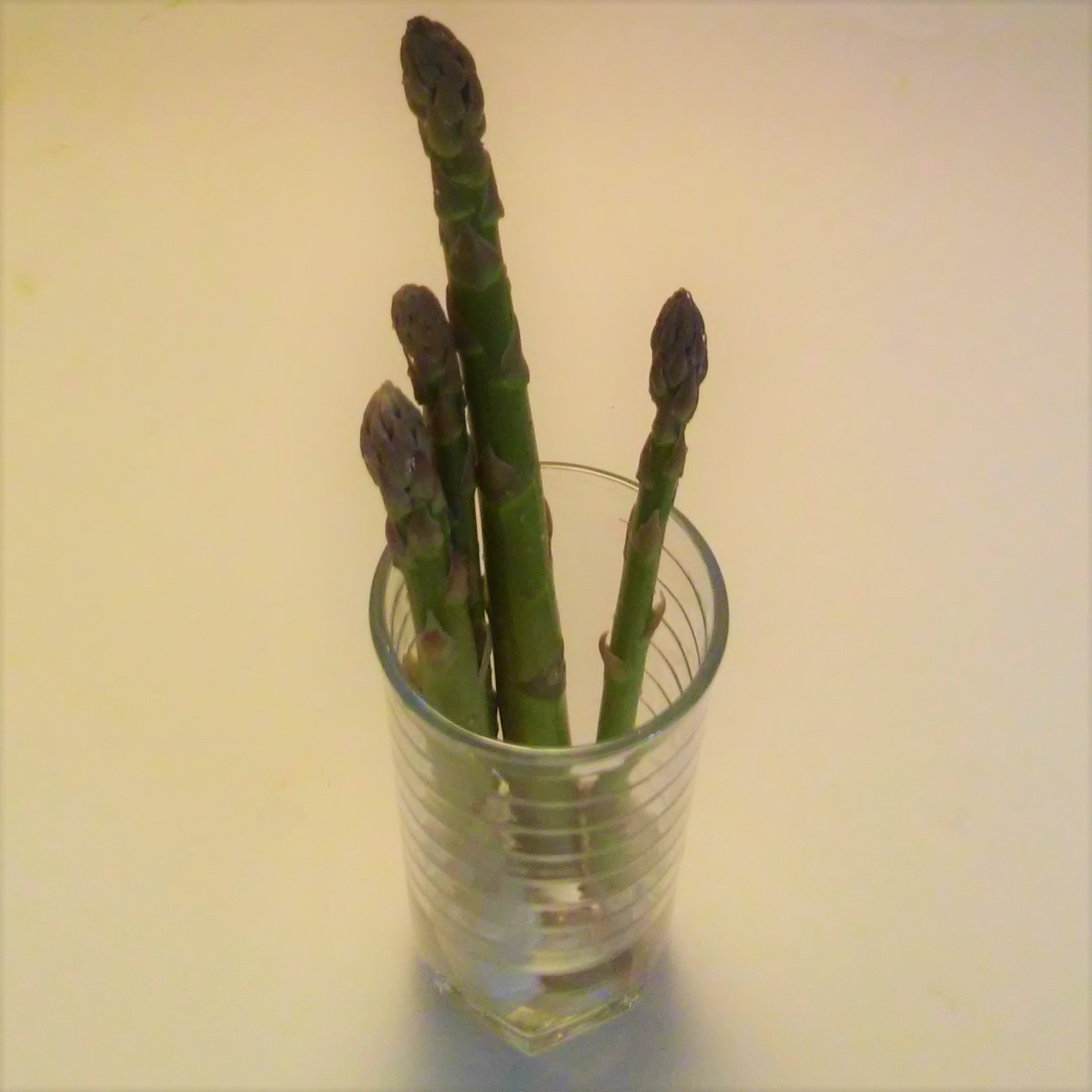 saving asparagus